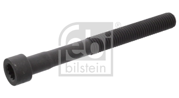 Cylinder Head Bolt